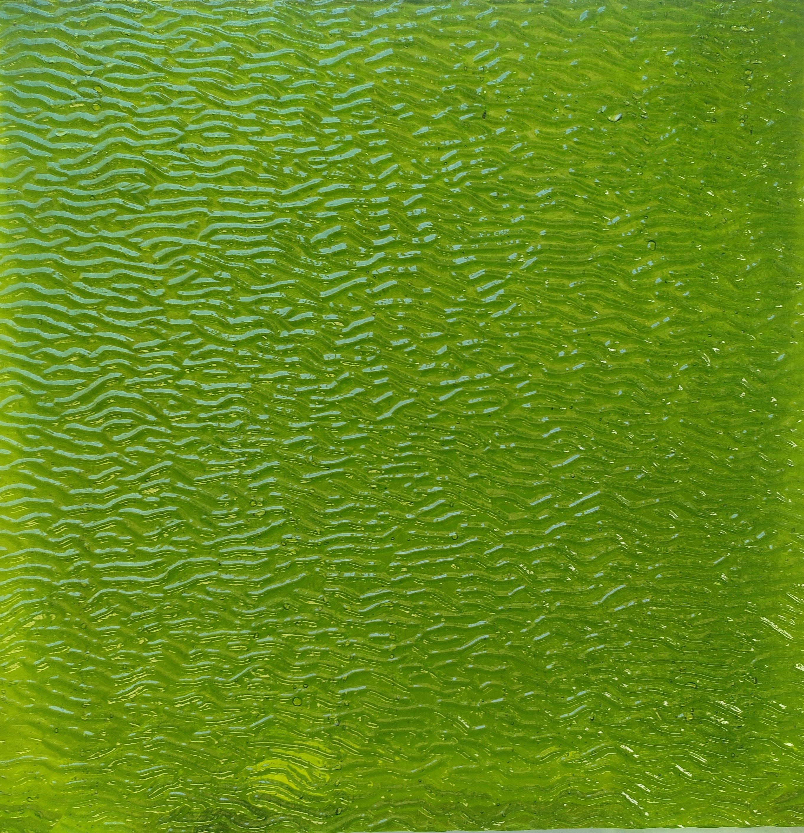 Διάφανο Lime με Υφή Mississippi River